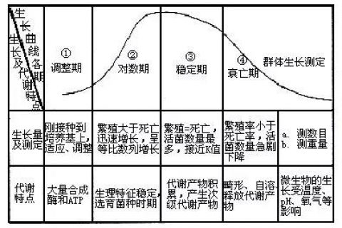 【干货】活性污泥法处理的10大知识点！