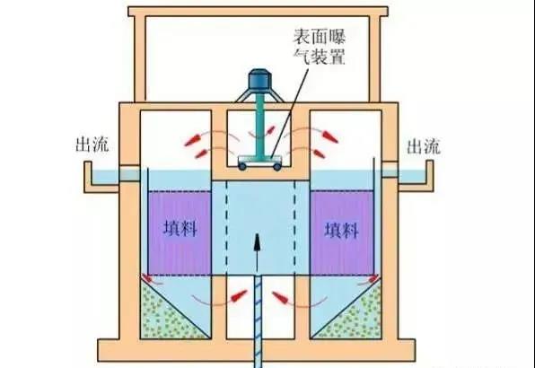 【最强总结】生物膜相关知识！