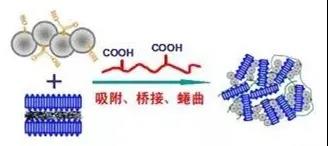 混凝？絮凝？助凝？傻傻分不清楚？一文带你看懂