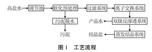 煤化工高盐废水处理双级反渗透系统