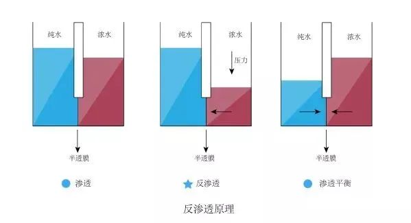 水处理100多个知识点