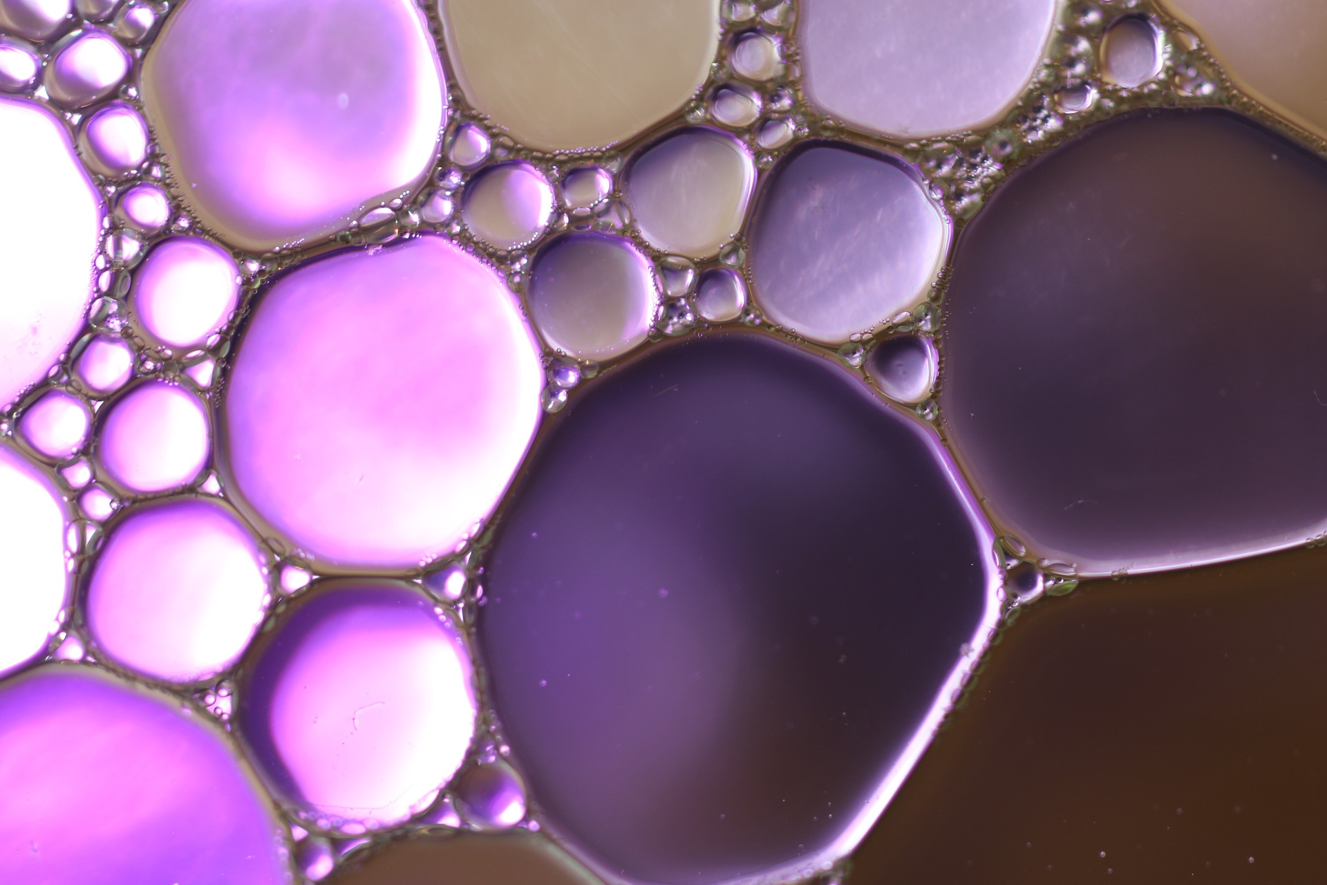 碱性清洗剂 Diamite™ HpH