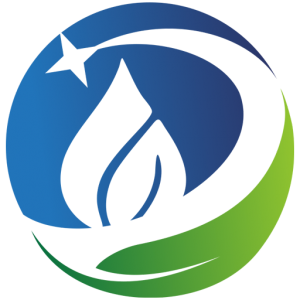 VCS LOGO